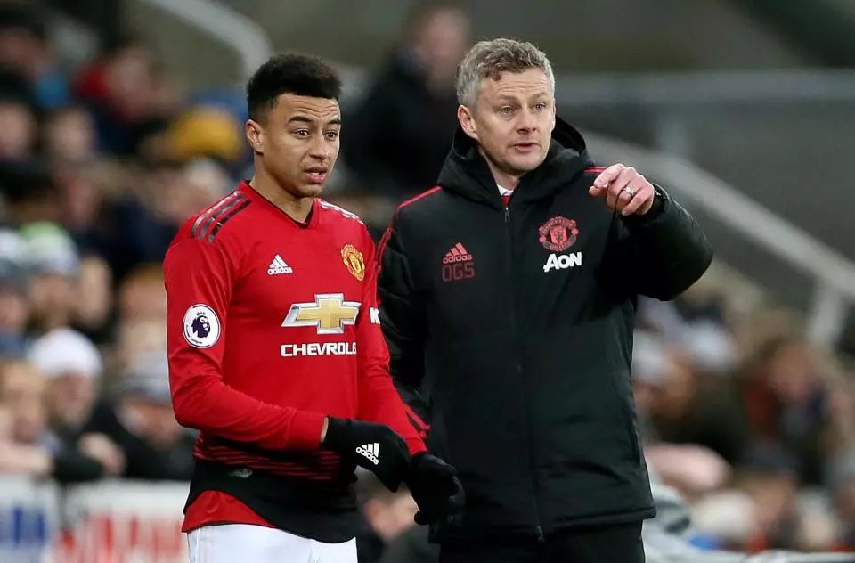 球迷帶來了 球迷帶來了